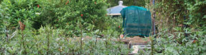 Jardin cultivé en permaculture avec un composteur