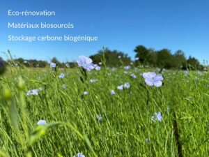 Champ de lin avec les mots-clefs Eco-rénovation, matériaux biosourcés et stockage carbone biogénique