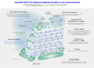 Exemple fictif d’un bâtiment hybride durable et son environnement cumulant des solutions permettant de produire plus d'énergie qu'il n'en consomme et de réduire au minimum son empreinte carbone tout en maximisant le stockage du carbone biogénique