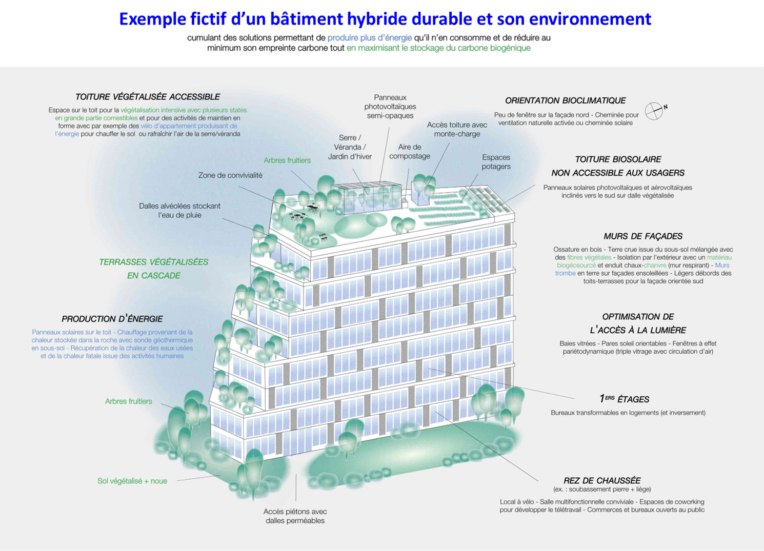 Exemple fictif d’un bâtiment hybride durable et son environnement cumulant des solutions permettant de produire plus d'énergie qu'il n'en consomme et de réduire au minimum son empreinte carbone tout en maximisant le stockage du carbone biogénique