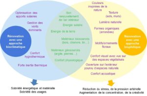 Infographie montrant comment se reconnecter à la nature en combinant deux approches : le bioclimatisme et la biophilie avec les points d'interactions