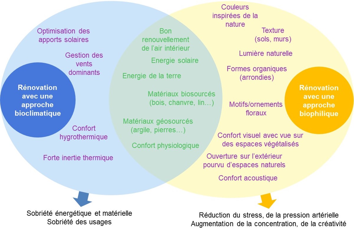 Infographie montrant comment se reconnecter à la nature en combinant deux approches : le bioclimatisme et la biophilie avec les points d'interactions