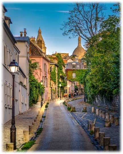 Photo d'une rue avec des végétaux, trottoirs en pavé, maison avec mur végétalisé au fond