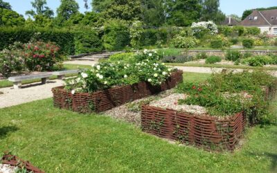 Bâtiment durable et permaculture : comment promouvoir les formations répondant au défi du changement climatique dans le secteur du bâtiment et celui de l’agriculture en redonnant du sens à notre vie quotidienne ?