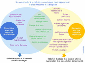 Infographie décrivant la complémentarité entre la biophilie et le bioclimatisme