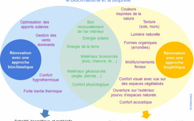 La biophilie : un concept pour améliorer le confort ressenti dans votre logement